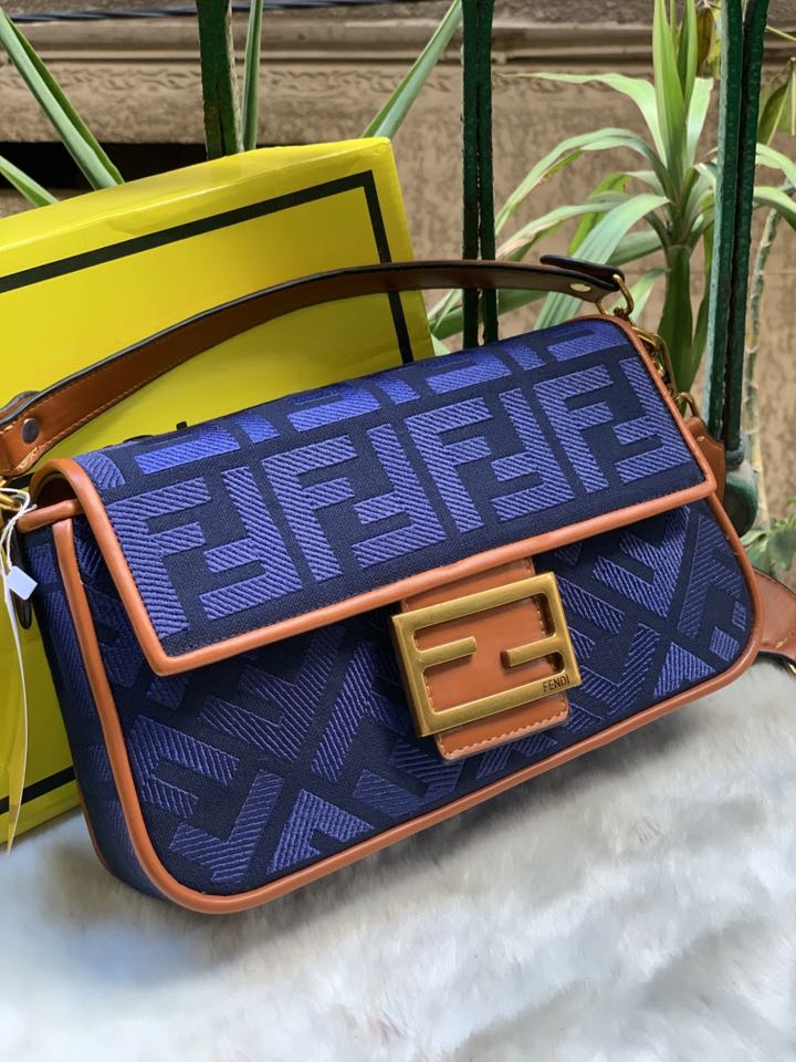 Fendi Hand and Shoulder Bag
