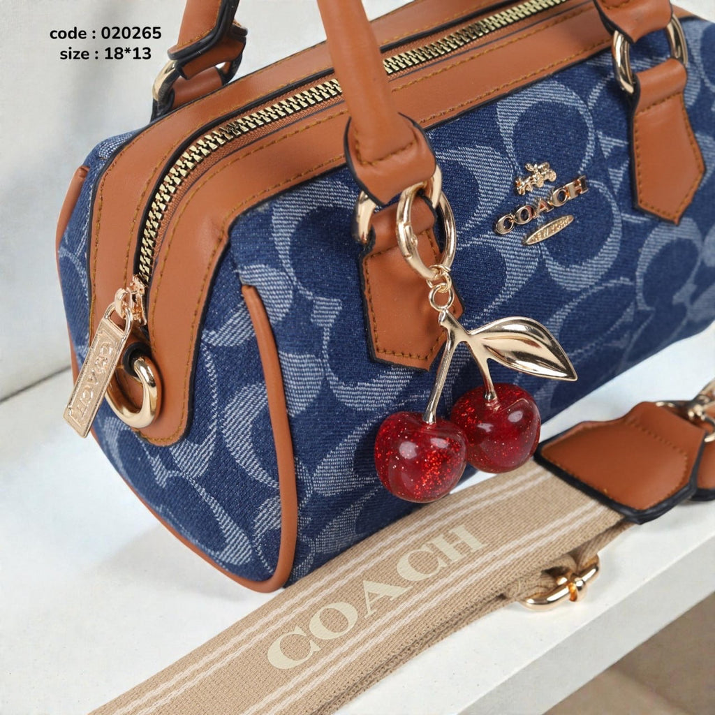 Coach 020265