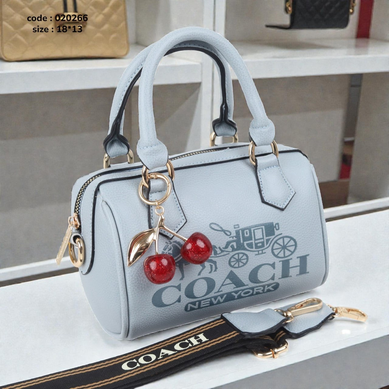 Coach 020266