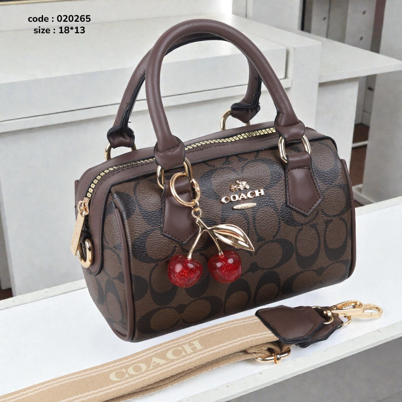 Coach 020265