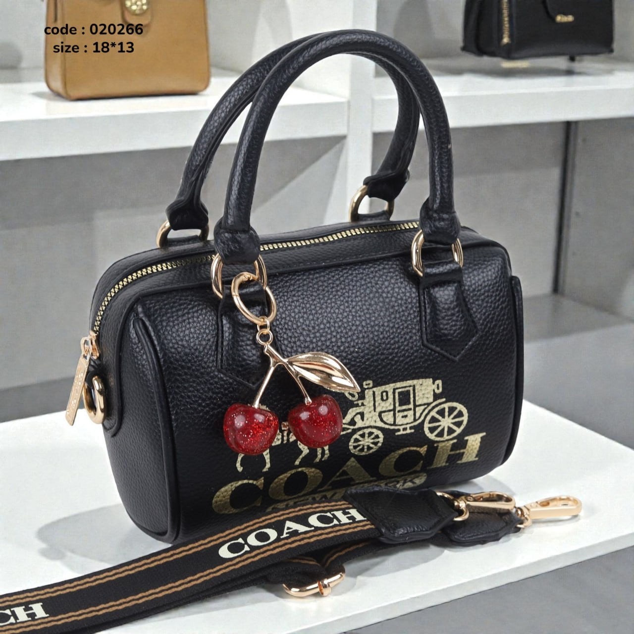 Coach 020266