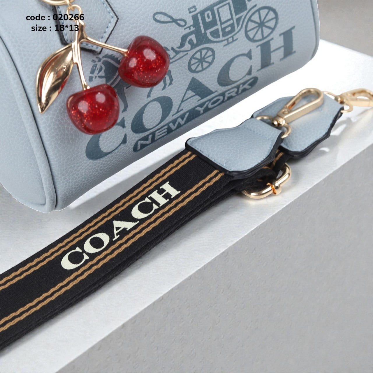 Coach 020266