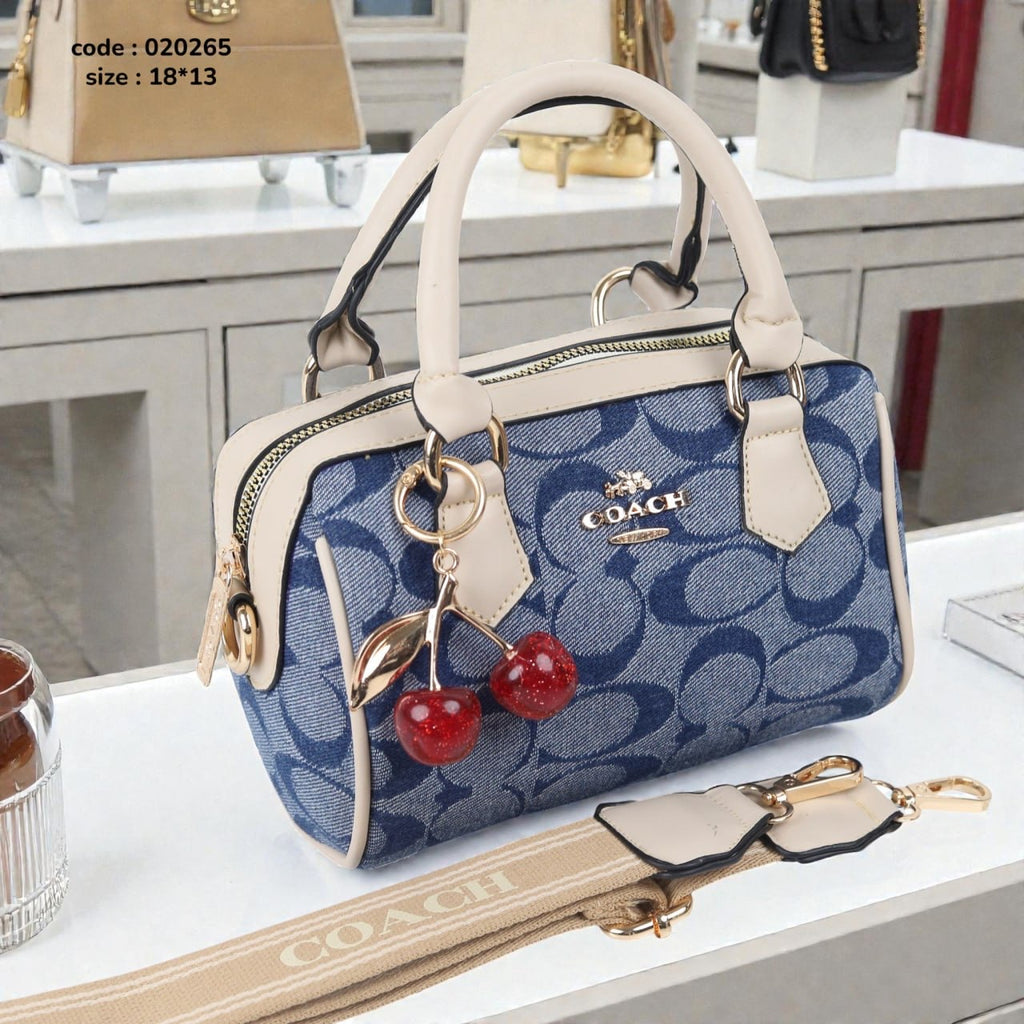 Coach 020265