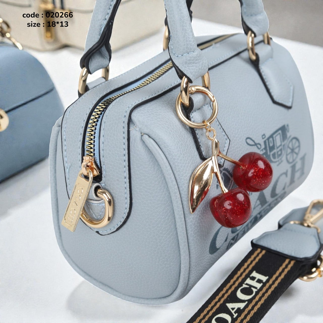 Coach 020266