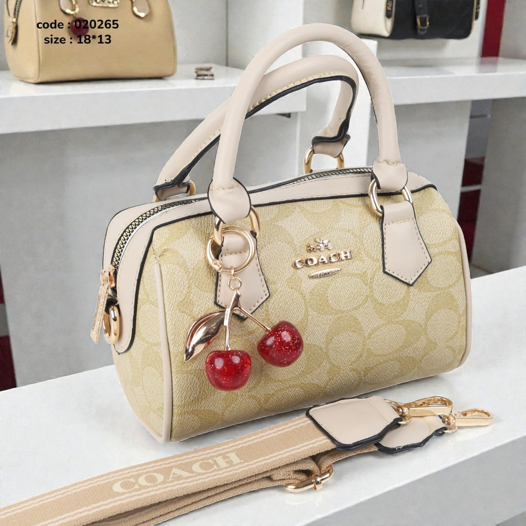 Coach 020265