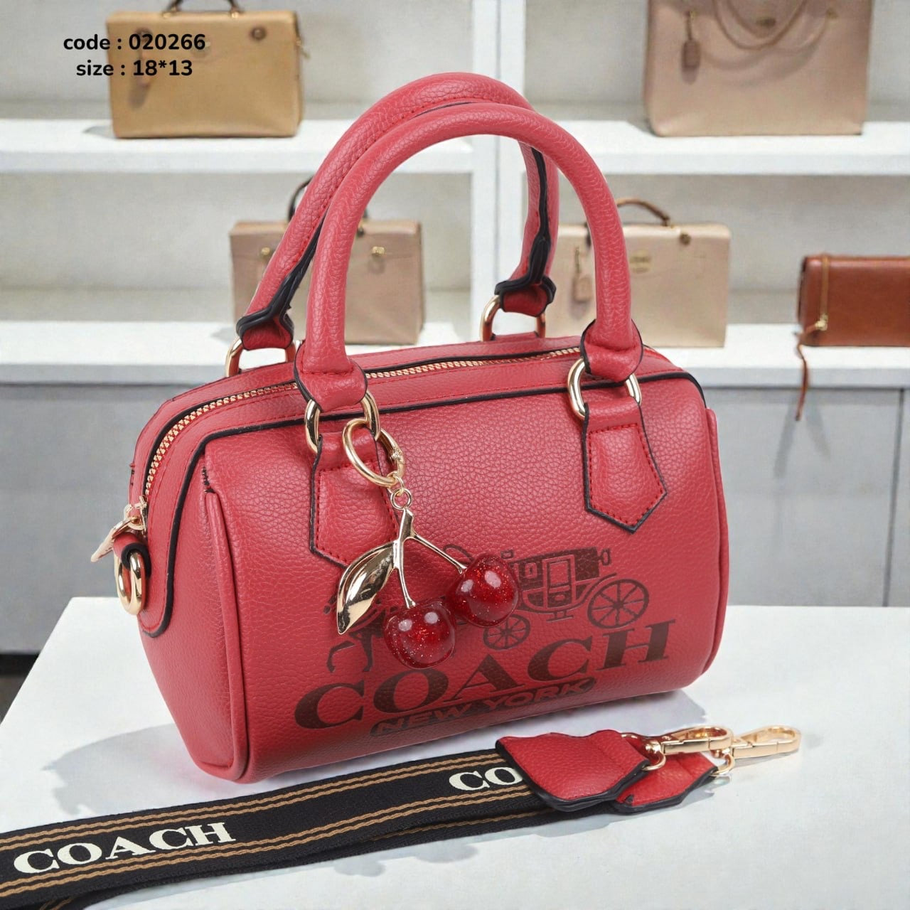 Coach 020266