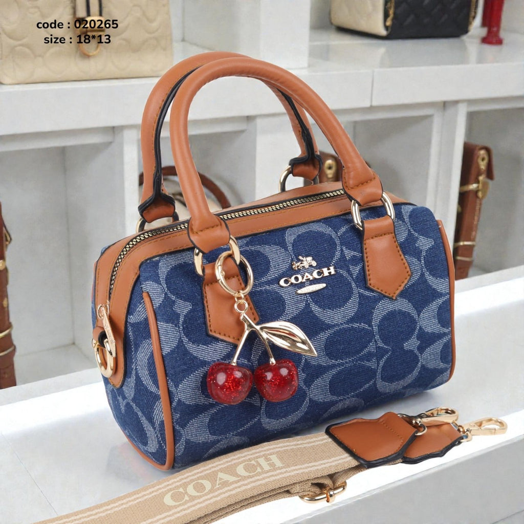 Coach 020265