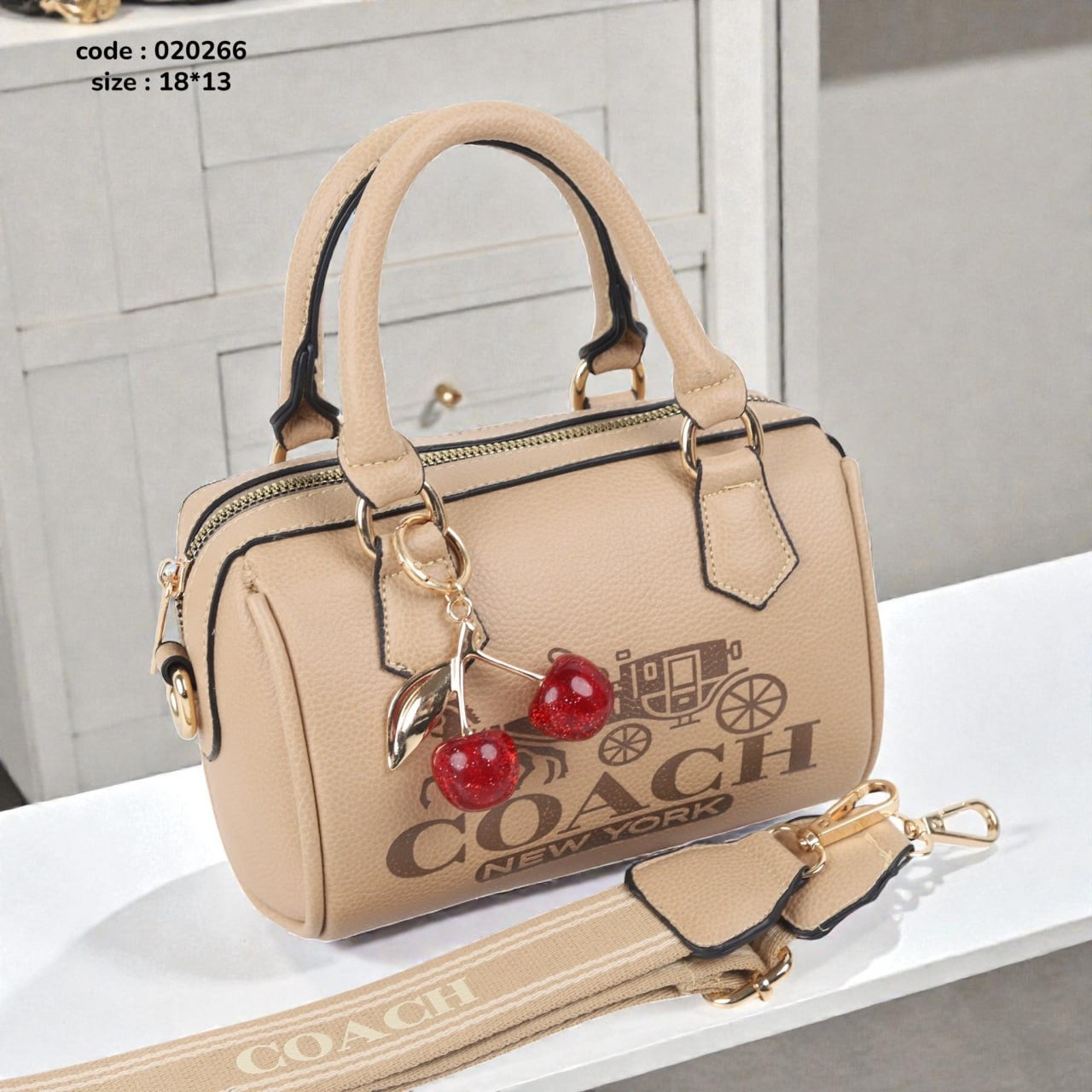 Coach 020266