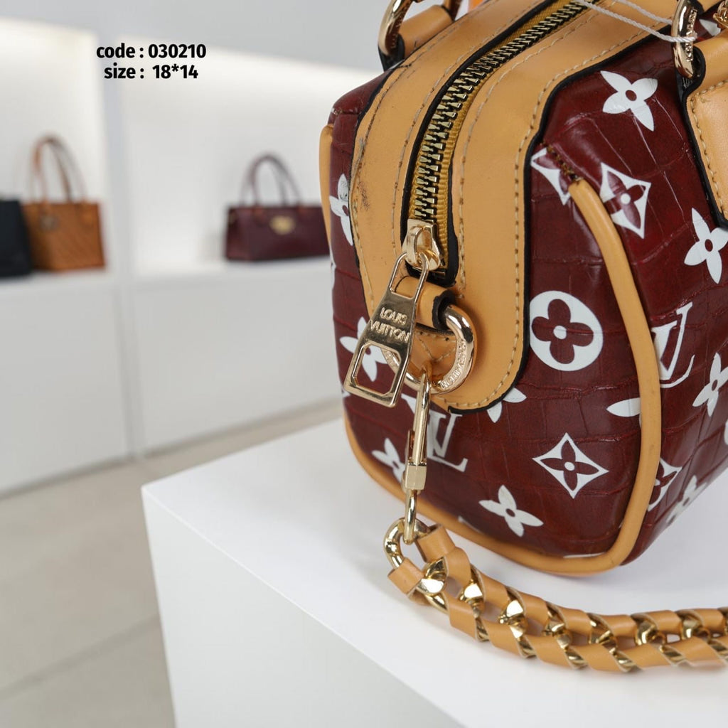 Louis Vuitton 030210