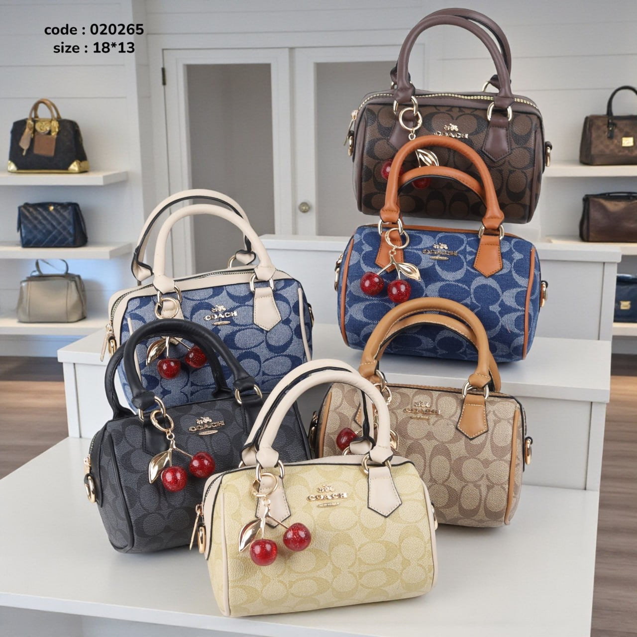 Coach 020265