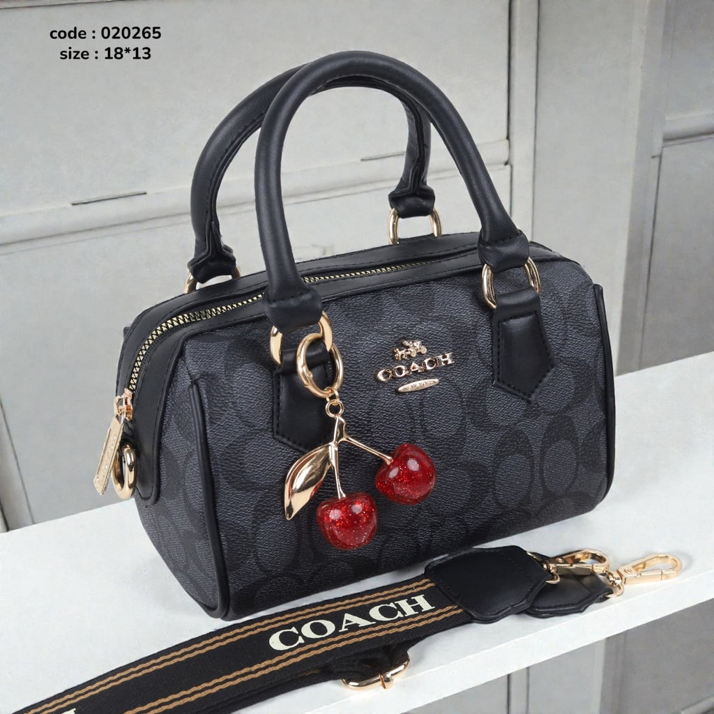 Coach 020265