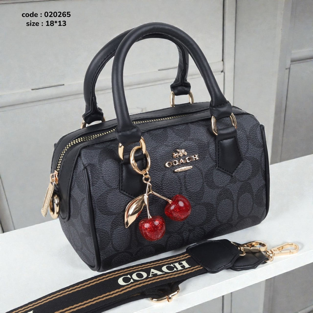 Coach 020265