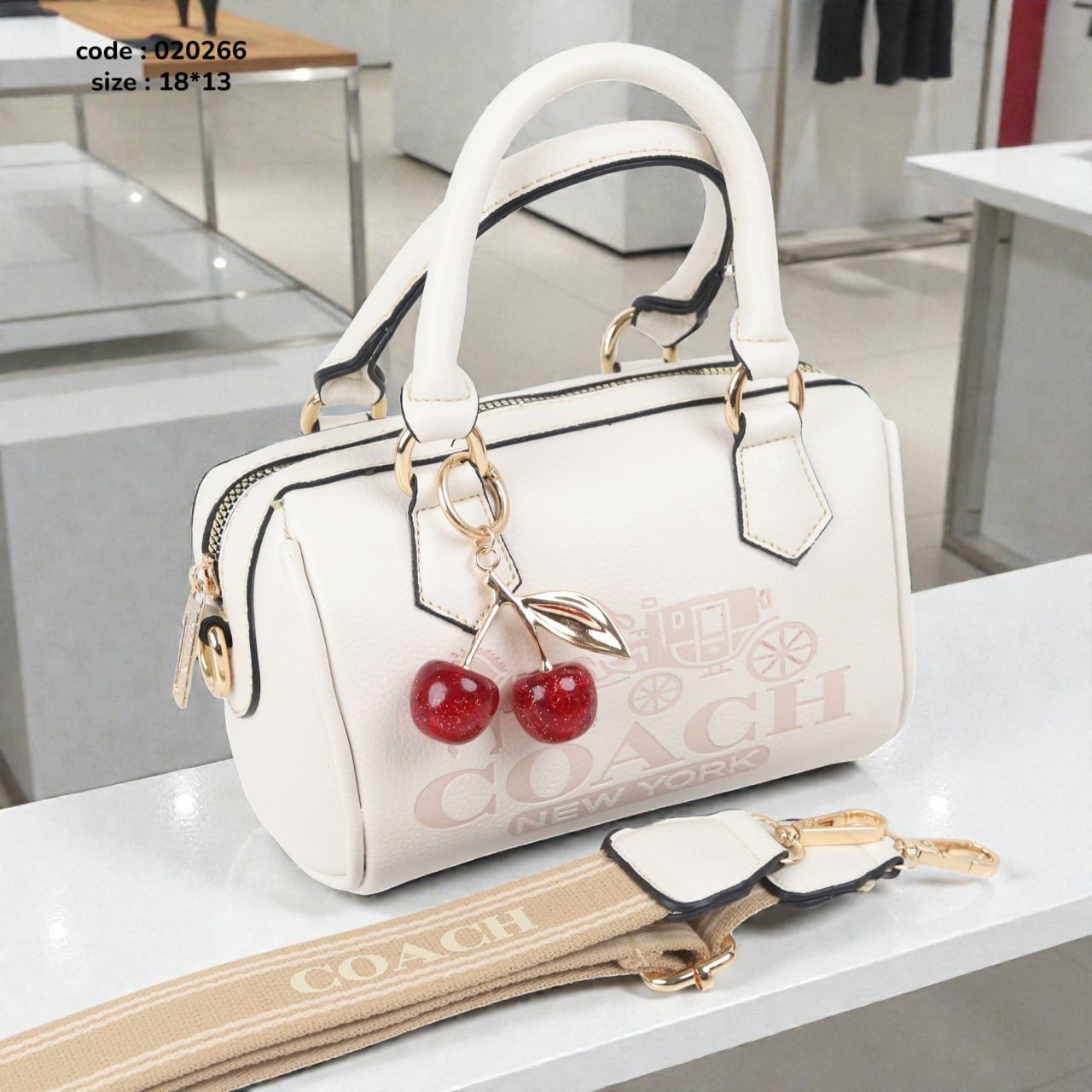 Coach 020266