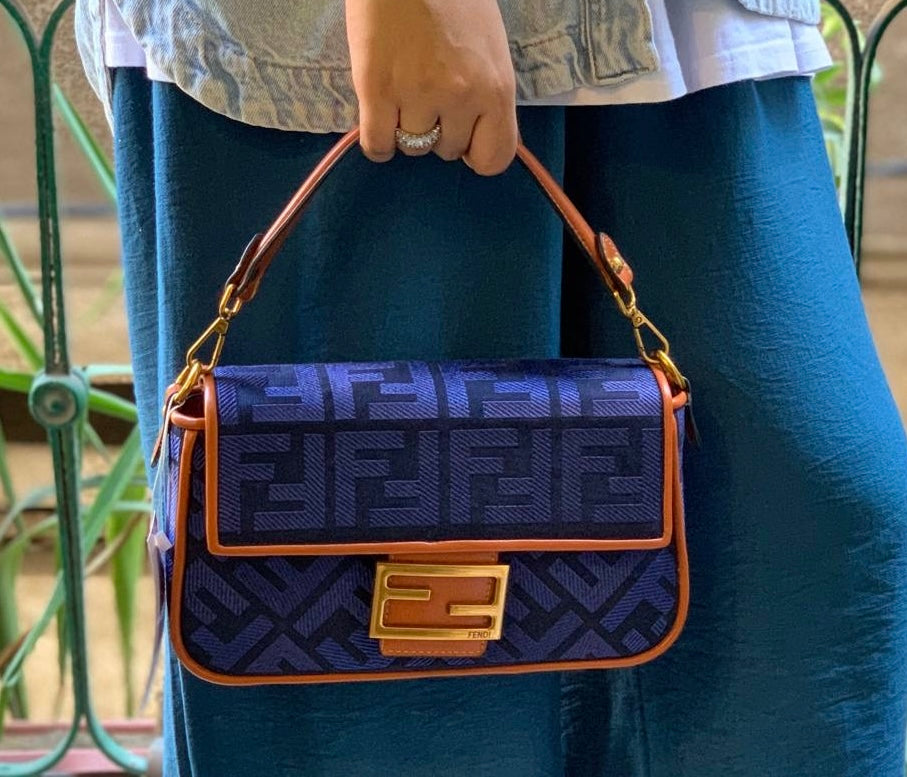 Fendi Hand and Shoulder Bag