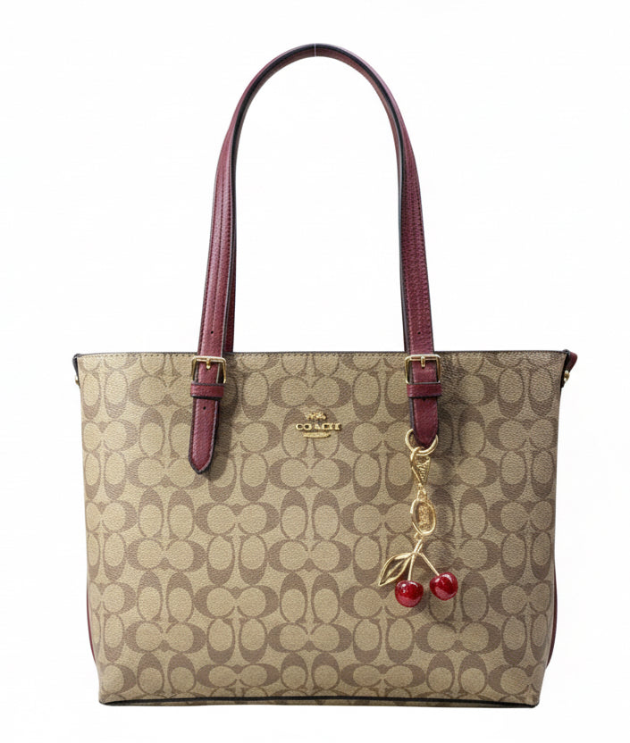 Coach L Bag