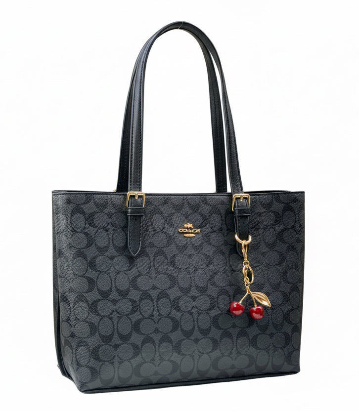 Coach L Bag