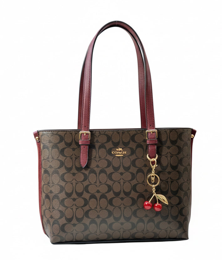 Coach L Bag