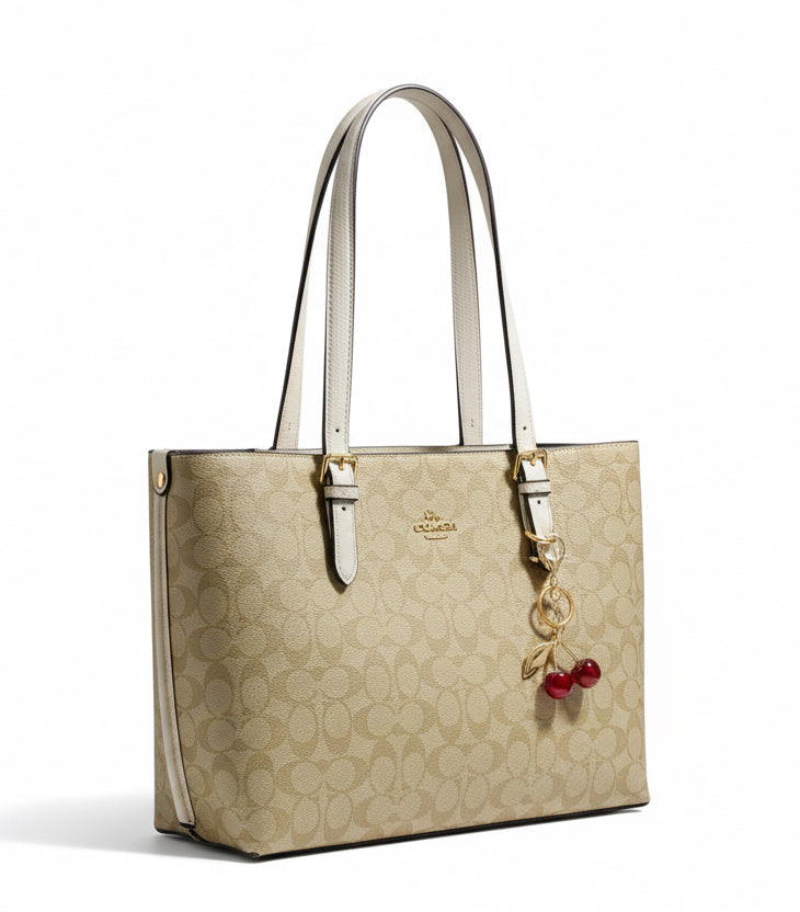 Coach L Bag