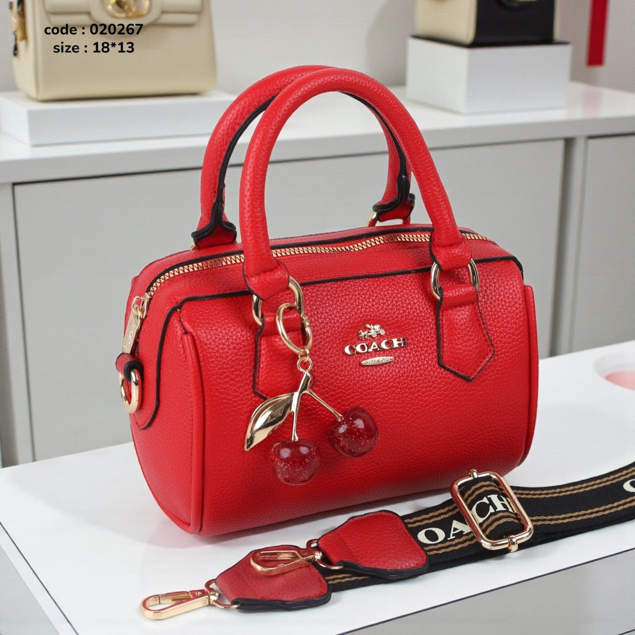 Coach 020267