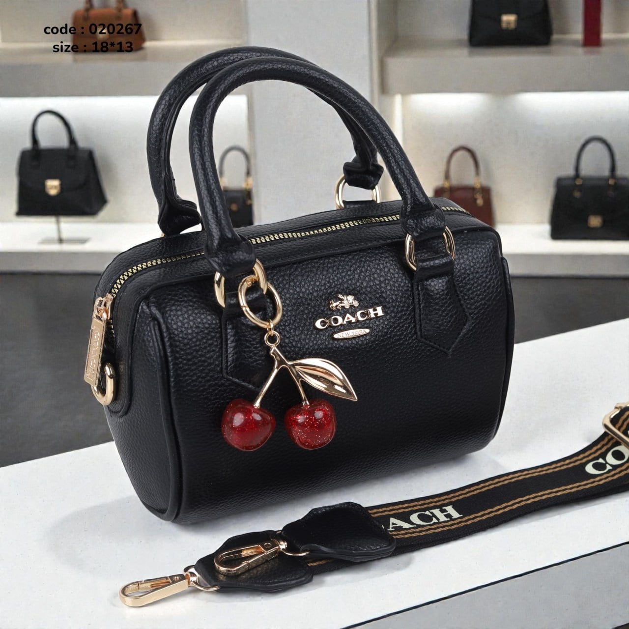 Coach 020267