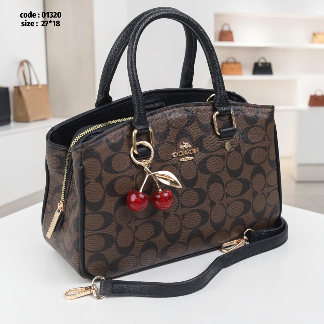 Coach 01320