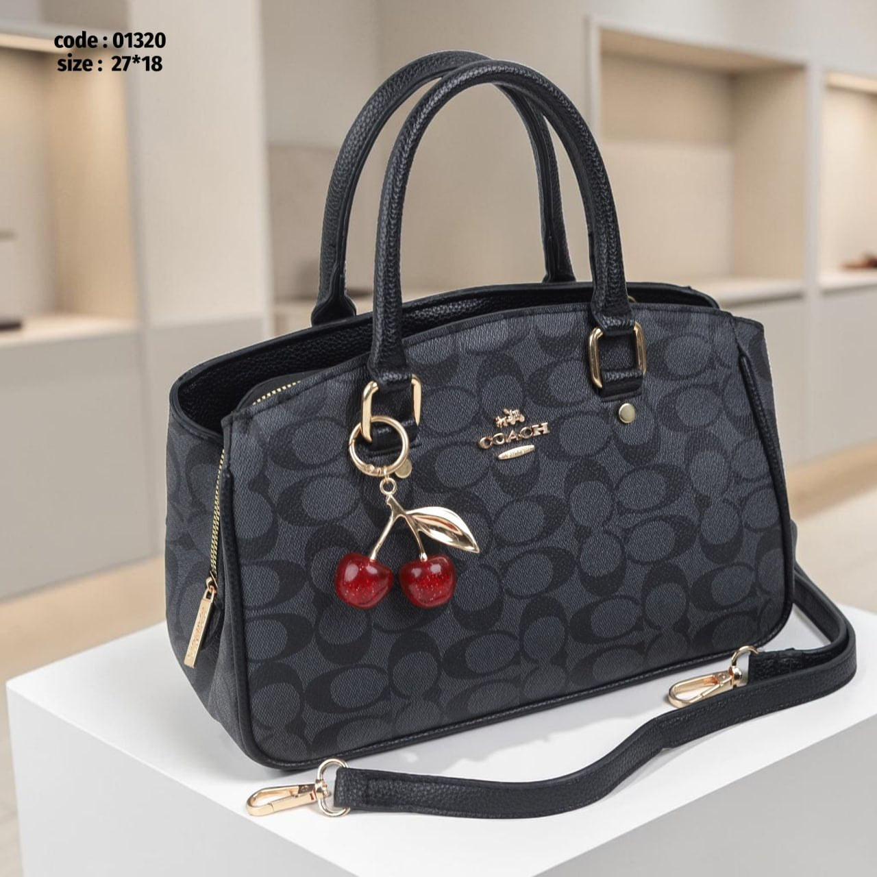 Coach 01320