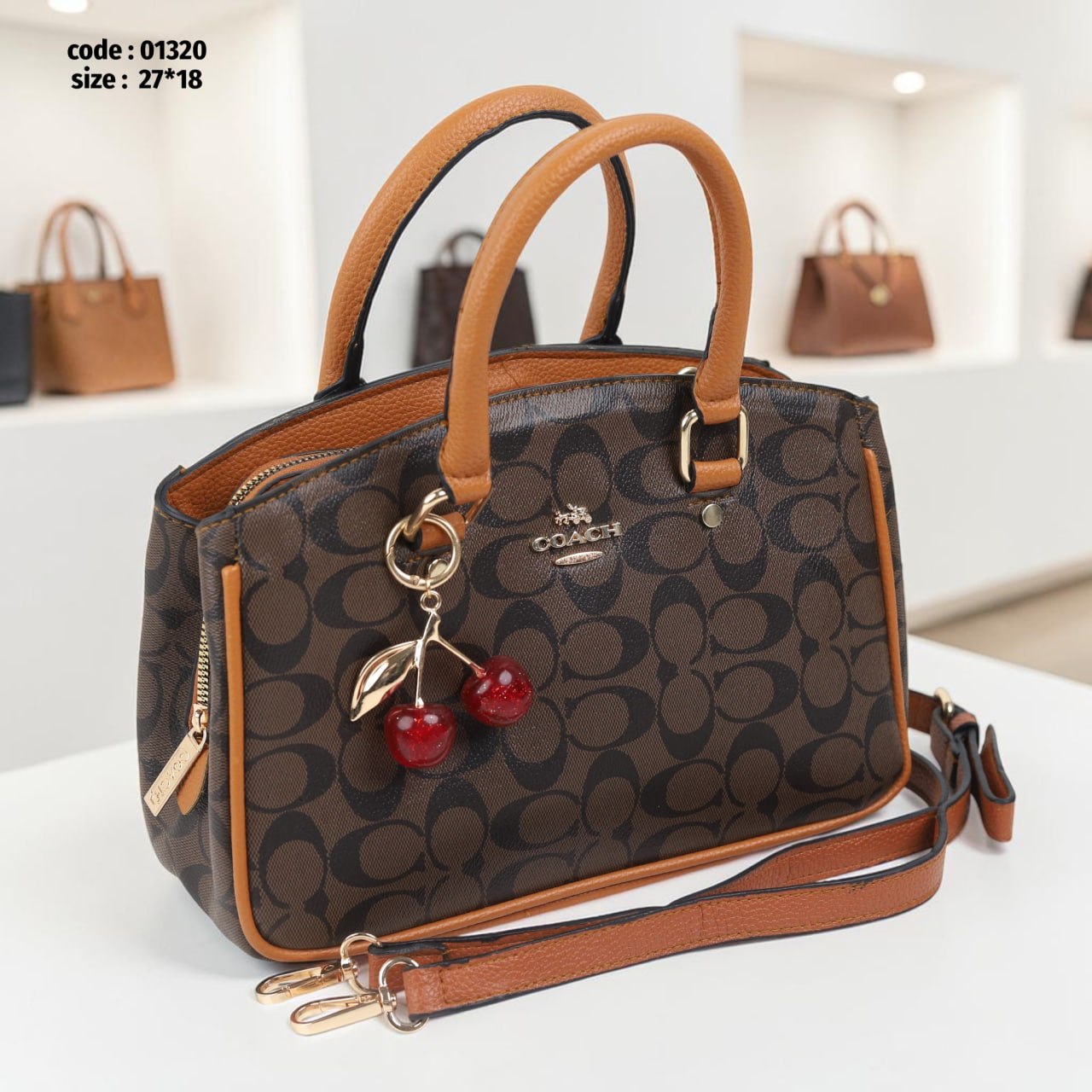 Coach 01320