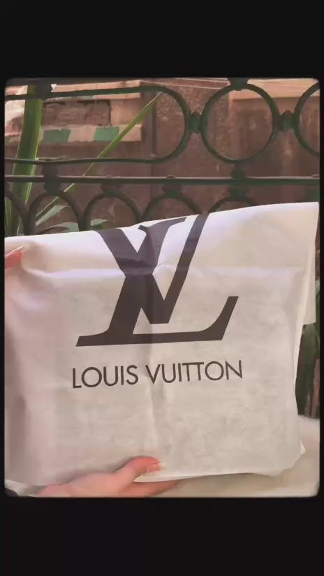 Cluch LV Bag